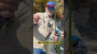 Enjoying the Fall colors while catching a few crappie. #g3boats #crappie #g3sportsman