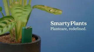 Now on Kickstarter: Sensors To Monitor Your Plants' Every Need