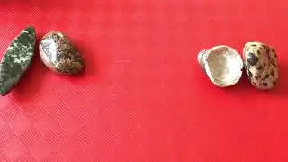 Новолуние 🌙 в Весах ♎️ 21 октября 2025 г. Интуитивное толкование драгоценных камней от Cognitive ...