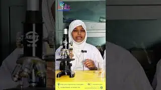 Ekidz High School| Human Cheek Cell| #science #biology #humanbody #education #learning #microscope