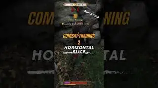 kingdom come deliverance 2 training combat with tomcat (Horizontal Slice) !