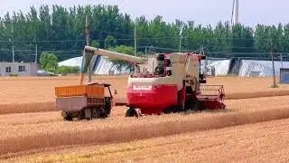 Unlocking Harvesting Excellence with CHOHO Agricultural Chains! Harvest without holdups.