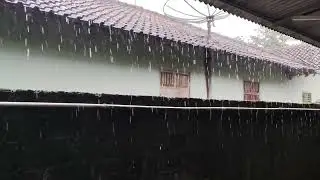 Heavy Rain on the Roof, A Calm Night for Anxiety Relief