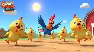 Good morning Mr  Rooster Kids Song