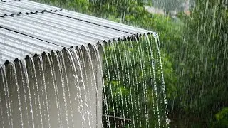 Heavy Rain & Thunderstorm in Roof All Night &ndash; for Deep Sleep, Stress Relief & ASMR Rain Sounds