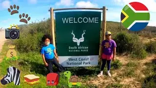 Where to go with your kids in Cape Town?
