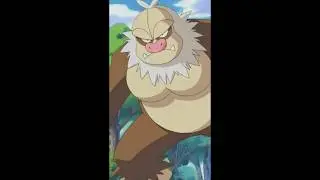 Today we&rsquo;re reviewing my top5 normal type pokemon! Let&rsquo;s see how my list stacks against yours!