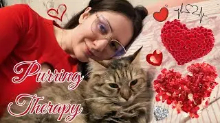 lofi for lovers (and cats) 💘 deep sleep / purring therapy