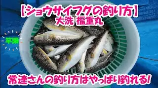【波が高い ウネリがある 潮が速い】そんな時でもコンスタントに釣れる釣り方はこれだ！