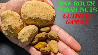 Outback Opal Hunters Opal Whisperers. Rough Uncut Yowah Nuts.