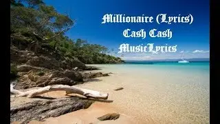 Cash Cash & Digital Farm Animals - Millionaire feat. Nelly (Lyrics)