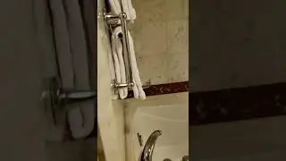 Cabin R408 Emerald Princess