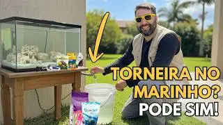 Sim, D&aacute; Pra Ter Aqu&aacute;rio Marinho Com &Aacute;gua da Torneira (Mas Tem Regras)