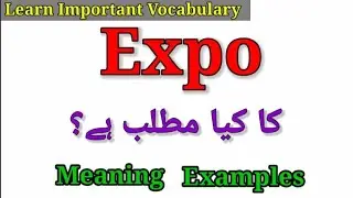 Expo Meaning