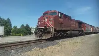 CP 7025 leads CP 368