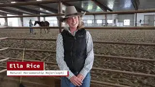 Montana Western Video: Natural Horsemanship Program