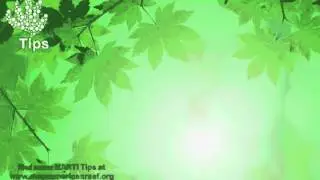 Energy Efficiency MARTI Tips: Lighting