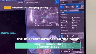 Scanning Electron Microscope (SEM) & Energy Dispersive X-ray spectroscopy (EDX)