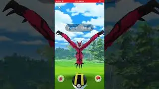 🦇 Showing Off My MONSTER Legendary YVELTAL! | Pok&eacute;mon GO Power! 💀🔥