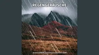 Regenger&auml;usche, Pt. 19