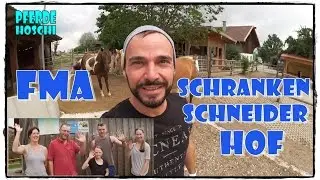 Pferde im Offenstall - FMA Schrankenschneiderhof / Bayern | Pferde Hoschi