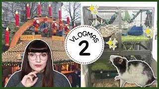 CAGE CLEANING & CHRISTMAS MARKET | Vlogmas 2