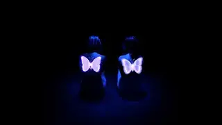 Mayfly - Cause perdue (Official Audio)