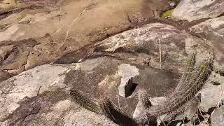 UMA LAGOA DE ÁGUA EM MEIO A SECA DENTRO DO SERTÃO 