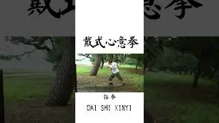 DAI SHI XINYI 「鑚拳」