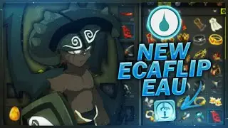 NEW UP ECAFLIP EAU TROP FORT SUR DOFUS ?