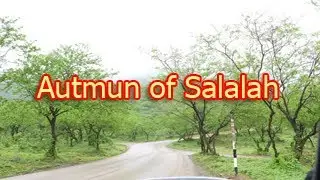 Scenes from Autmun of Salalah