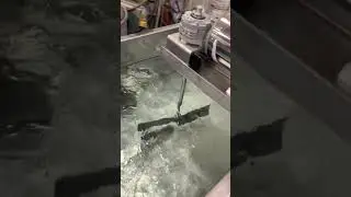 BID ON EQUIPMENT Cheese Vat