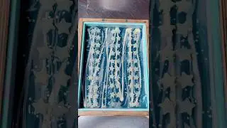 Outer Space GLOW IN THE DARK Soap! #soapmaking #soapmaker #handmadesoap #soap #soaps #soaping
