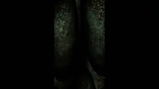 Marley Chaney - Crocodile Tears