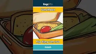 🇬🇧🇻🇳 lunchbox - hộp đựng cơm trưa : learn English : h&atilde;y học tiếng Anh : vocabulary builder