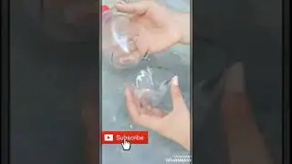 How To Make A Beautiful Bird House With Waste Plastic Bottles