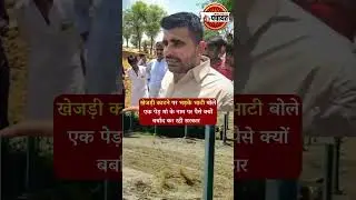 Rajasthan में Khejri पेड़ काटने पर भड़के Ravindra Singh Bhati | #rajasthannews #rajasthanpolitics