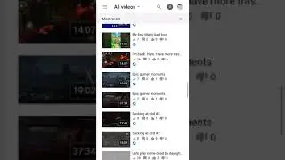 Why don&rsquo;t my tags show in the description?