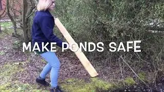 Help hedgehogs in your garden!
