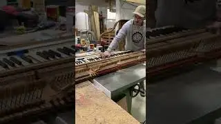 Cutting piano keys on the table saw! #woodworking #diy