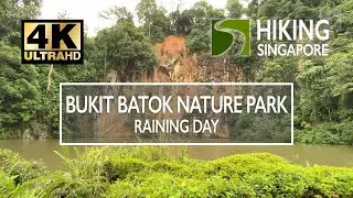 [4K] Bukit Batok Nature Park (Raining Day) - Hiking Singapore