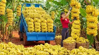Timelapse - Building a Swimming Pool for Geese | Farm Life, Banana Harvest & Country Market