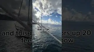 Nautical Nuisance in Cat Harbor #sailinglife | SV Ramble On
