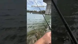 Salt Water Fishing 🎣💯 #cef4reel #fishing #saltwaterfishing #godfirst #vibes
