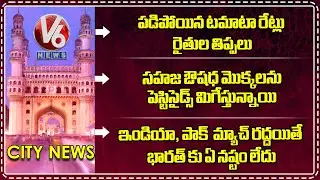 Tomato Prices Falls |Pesticides Harm Natural Plants | Ind Pak Match Cancellation Wont Loss India |V6