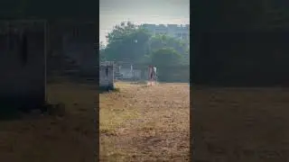 JANGI HORSE || TURANG🔥
