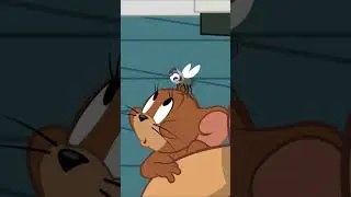 Nem penses, mosca! #CheeseDay 🧀 #Diadoqueijo #queijo #TomeJerry 🐱🐭  #shorts #cartoonito
