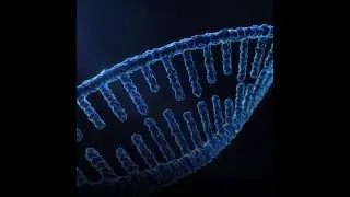 Scientists reduce autism symptoms in mice using CRISPR gene editing