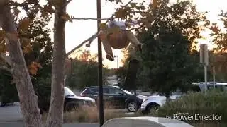 Lo Mejor De Ryan Sheckler 2017-2018😎