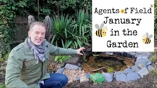 January in the Garden